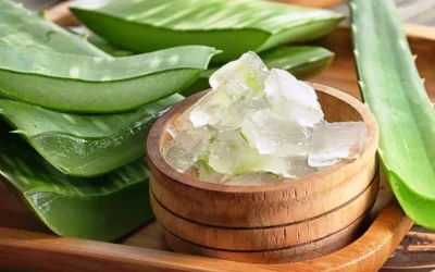 3 Rekomendasi Cara Mengatasi Rambut Rontok secara Alami