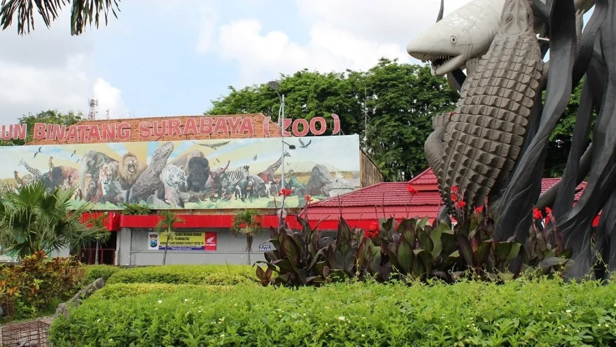 8 Rekomendasi Tujuan Wisata Edukasi di Surabaya yang Wajib Dikunjungi