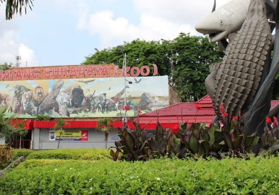 Rekomendasi Tujuan Wisata Edukasi di Surabaya yang Wajib Dikunjungi