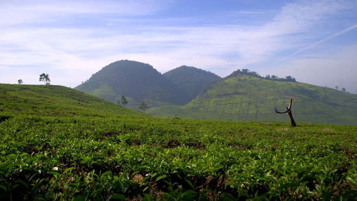 Destinasi Wisata Alam Populer di Bandung Selatan