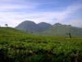 Destinasi Wisata Alam Populer di Bandung Selatan