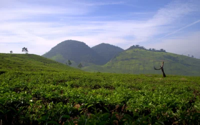 Destinasi Wisata Alam Populer di Bandung Selatan