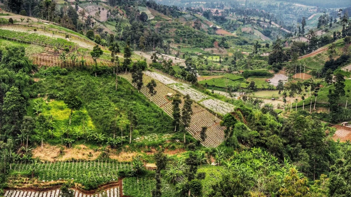 Rute Wisata Alam Pegunungan Lembang Sehari Bebas Macet