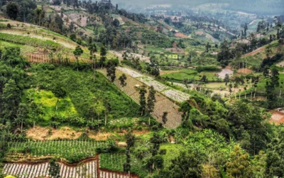 Rute Wisata Alam Pegunungan Lembang Sehari Bebas Macet